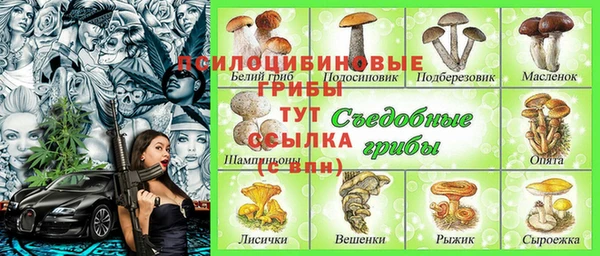 МДПВ Абдулино
