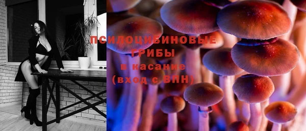 ГАЛЛЮЦИНОГЕННЫЕ ГРИБЫ Алзамай