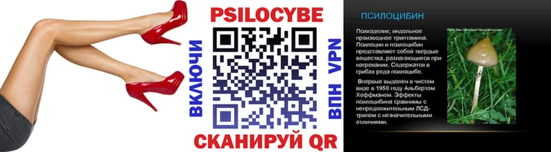 сколько стоит  Боровичи  Галлюциногенные грибы Psilocybe 