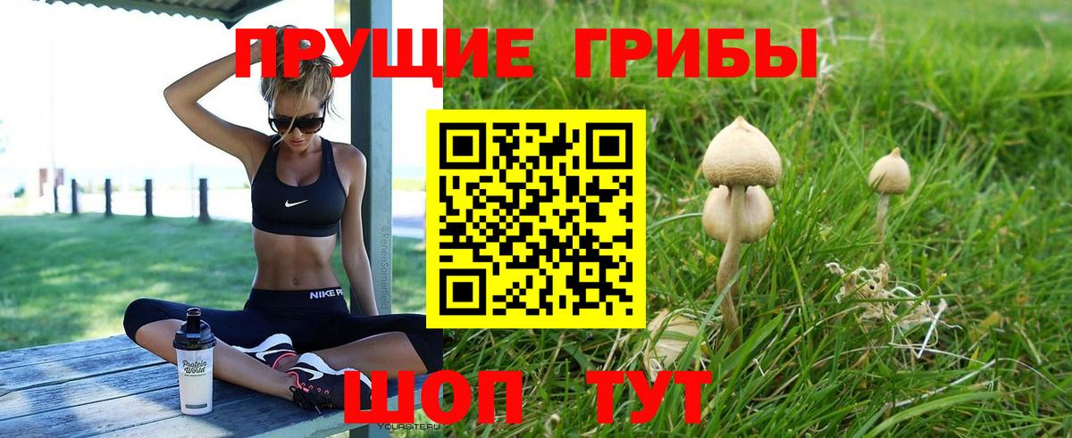 Псилоцибиновые грибы прущие грибы Боровичи